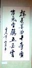 二等奖:(作者：杨军国    所在单位：第一工程处    主题：挥毫)