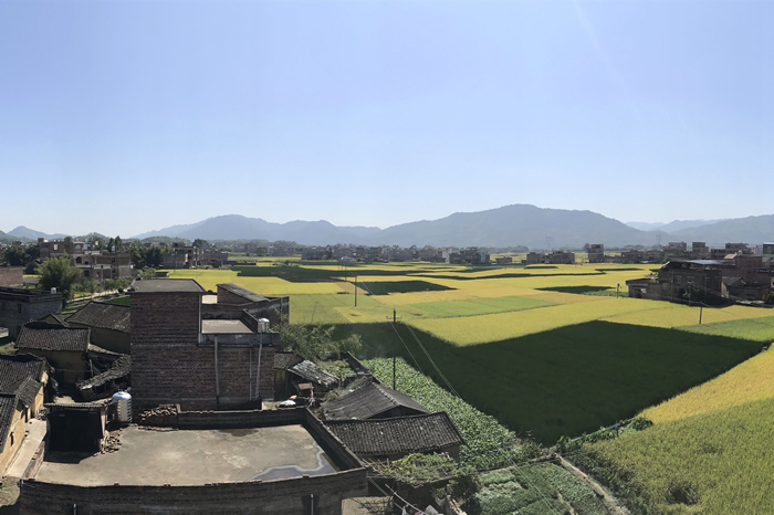 IM(股份有限公司)电竞-电子竞技平台