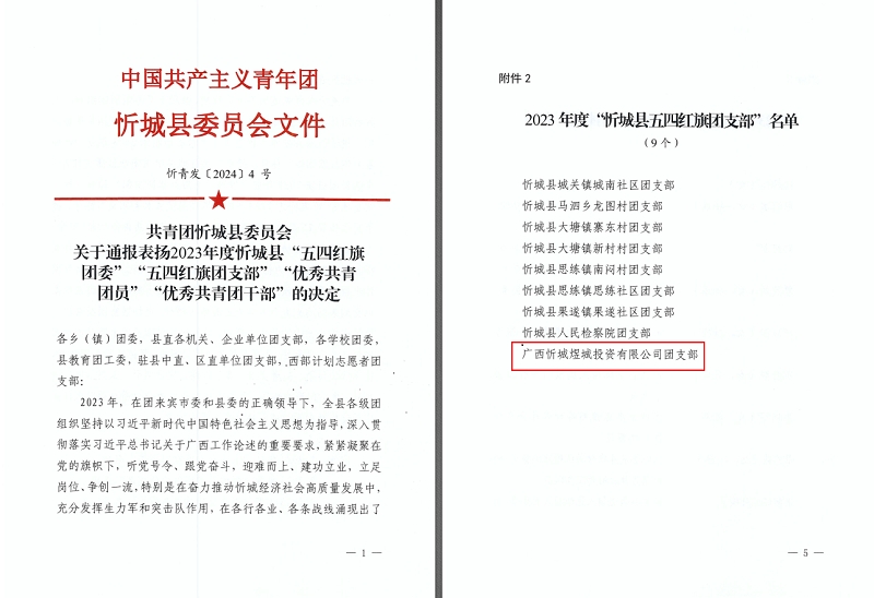 IM(股份有限公司)电竞-电子竞技平台